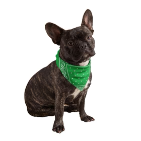 Calming Pet (Instock 11/15)