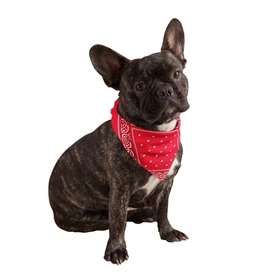 Calming Pet (Instock 11/15)
