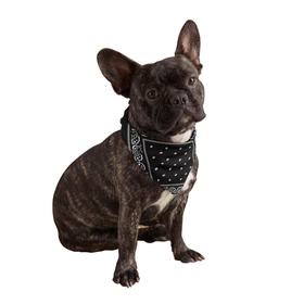 Calming Pet (Instock 11/15)
