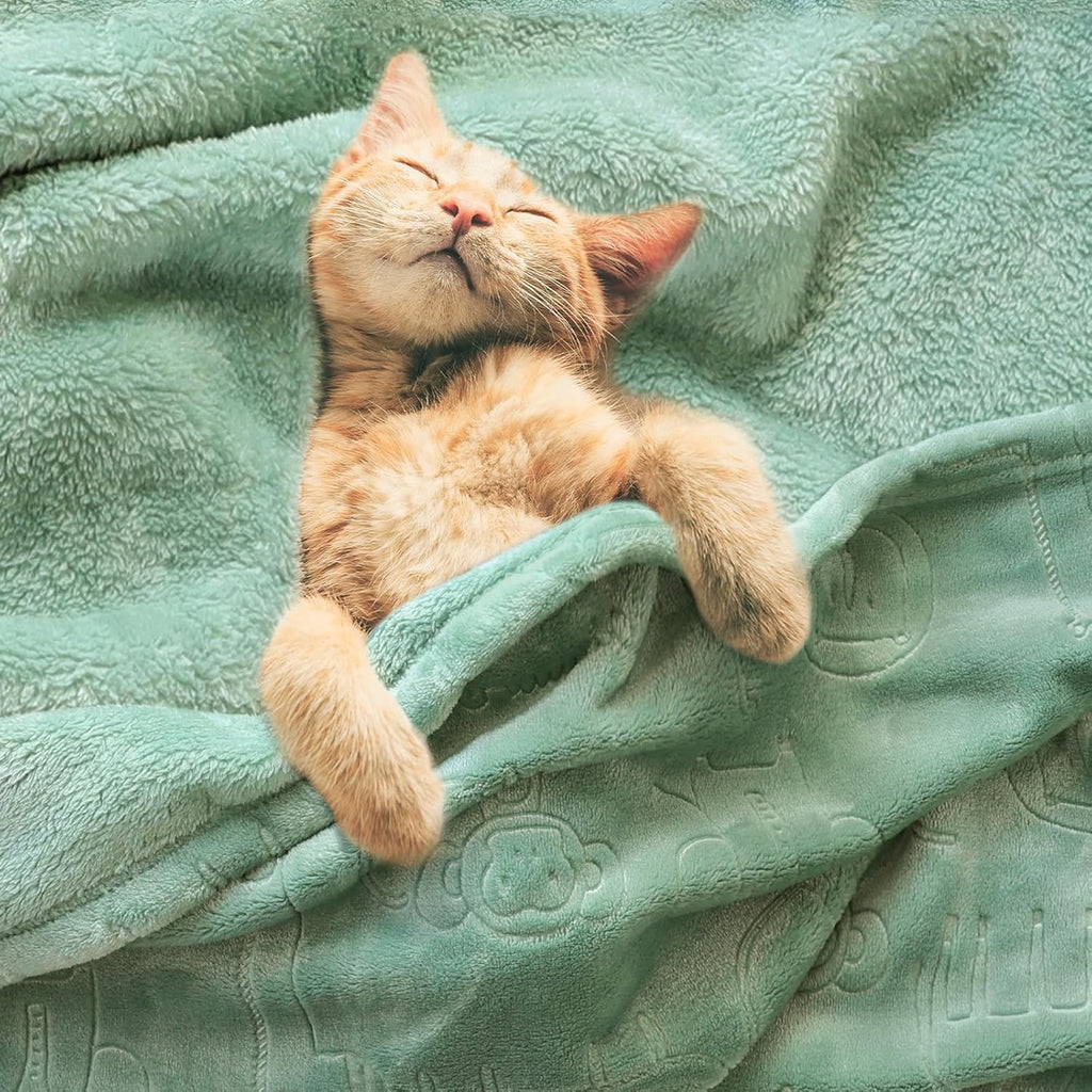 Mineral Health Baby Blanket Sage Green