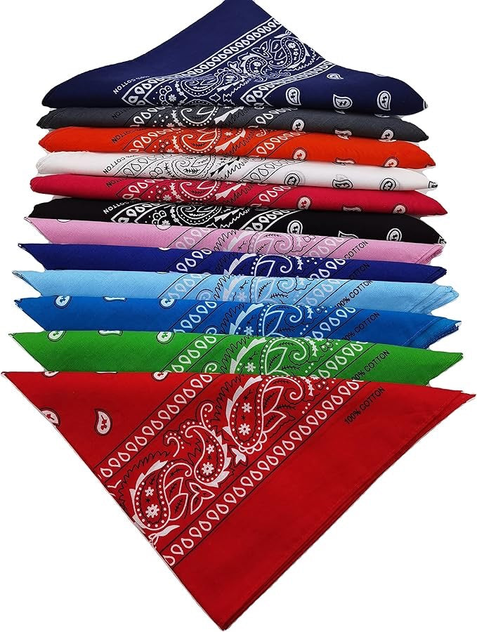 Mineral Infused Paisley Bandana