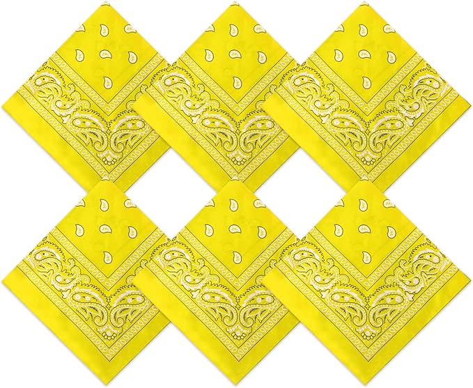 Mineral Infused Paisley Bandana
