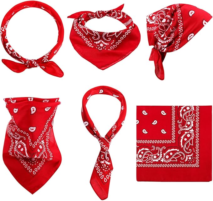 Mineral Infused Paisley Bandana