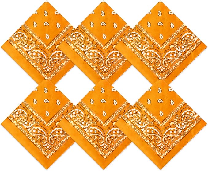 Mineral Infused Paisley Bandana